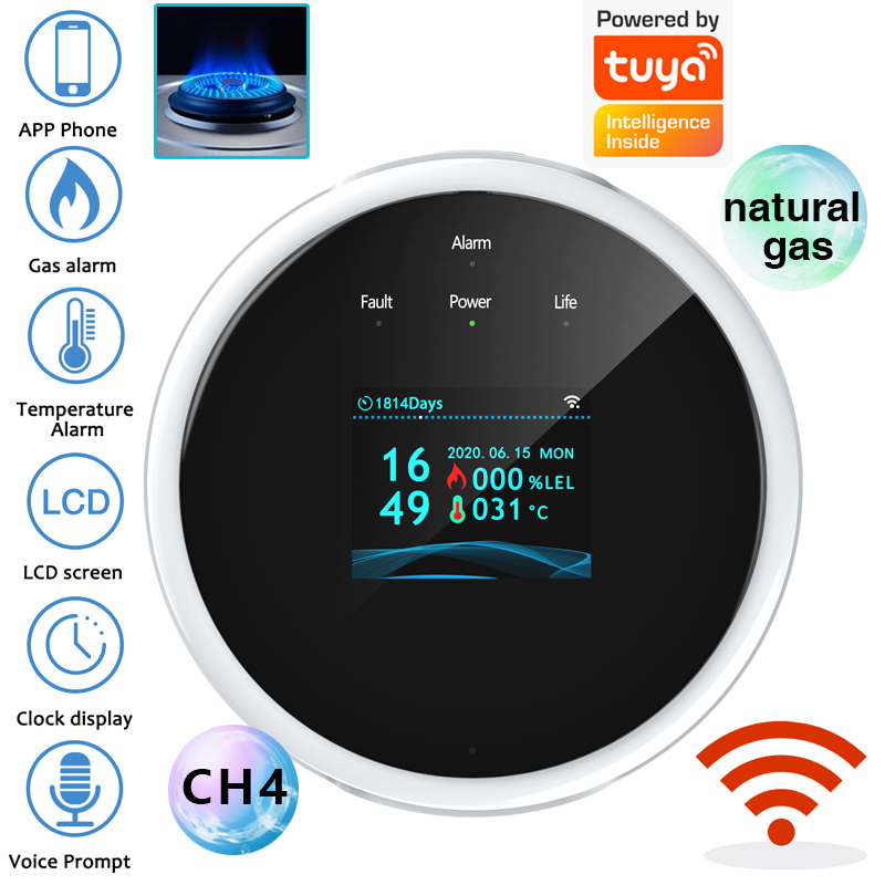 Smart Home Full System - 2.4G WiFi Gasalarmsensor Brandbaar gasdetector Werkt