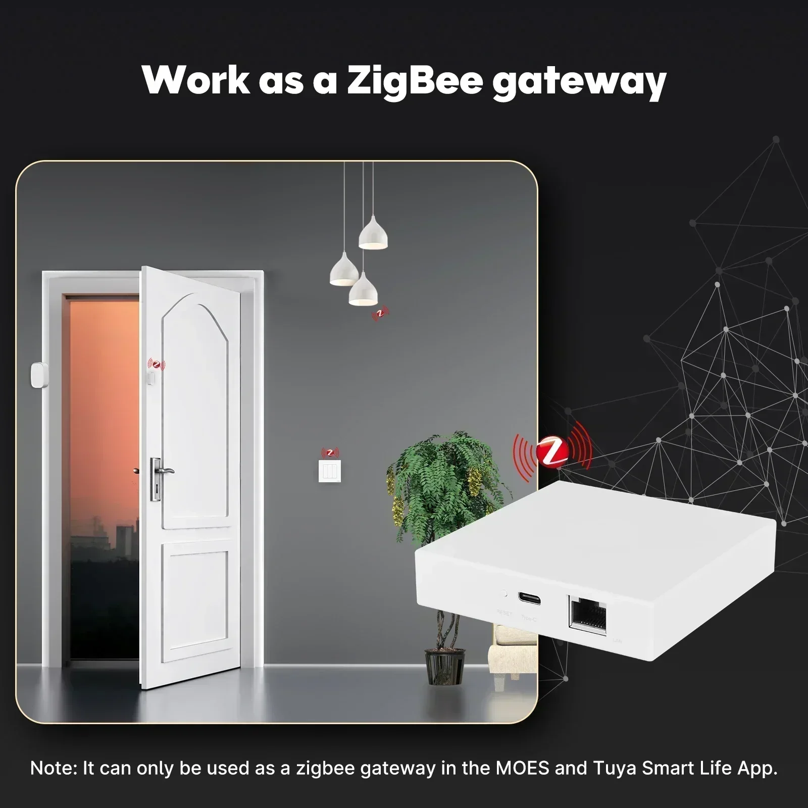 MOES Tuya Zigbee Matter Thread - Smart Home Dashboard recensie en prijs