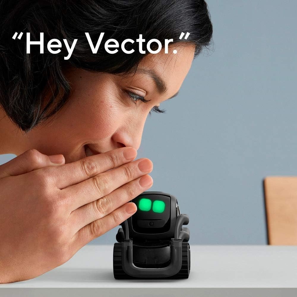 AI ChatGPT 2.0 Verbonden Robot - Smart Home Voice Control recensie en prijs