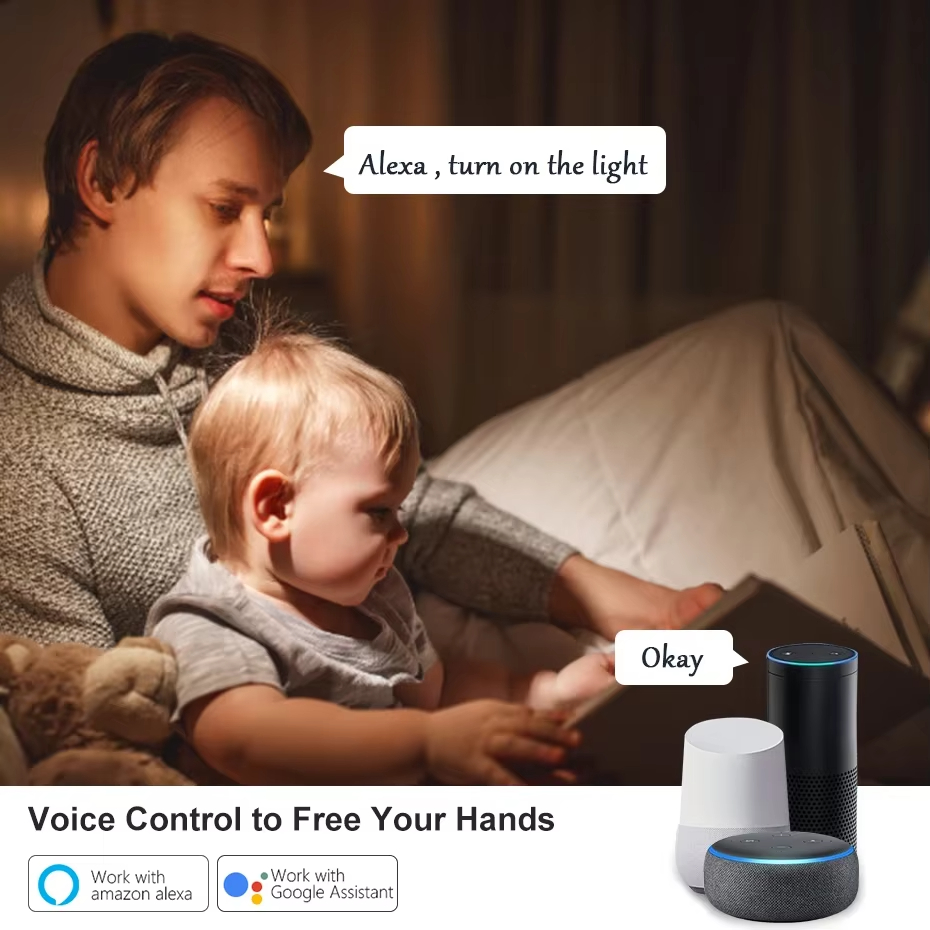 WiFi Schakelaar DIY MINI Smart - Smart Home Miniature recensie en prijs