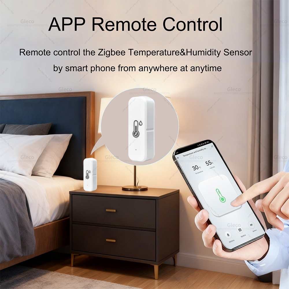 Tuya Zigbee 3.0 Mini Temperatu - Smart Home Miniature recensie en prijs
