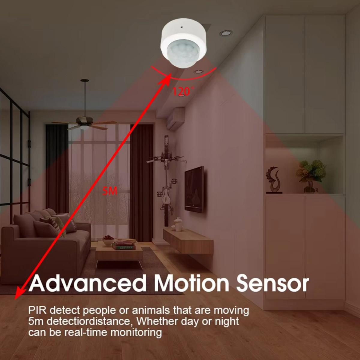 Zigbee3.0 Mini PIR Menselijke  - Smart Home Miniature recensie en prijs
